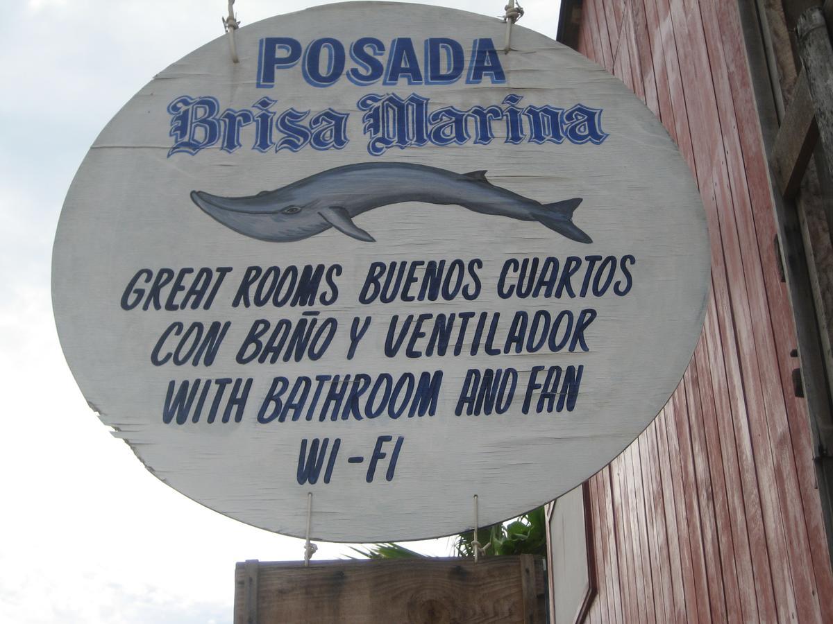 Posada Brisa Marina Hostel ซิโปไลต์ ภายนอก รูปภาพ